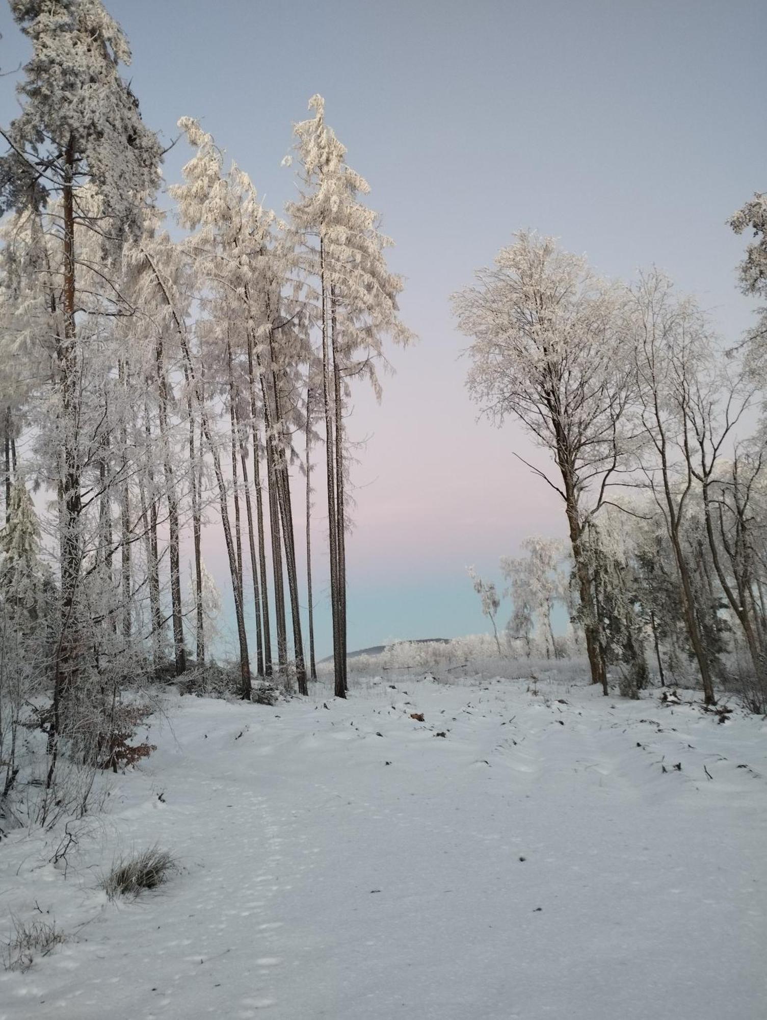 Zimmeruv Statek Mikulášovice Dış mekan fotoğraf